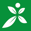 生涯之夜!杨瀚森16中14爆砍新高31分,最后4分钟队友太独混音输球